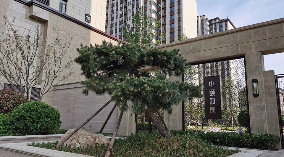 中頤和園